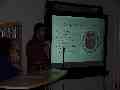 thumb_019.jpg