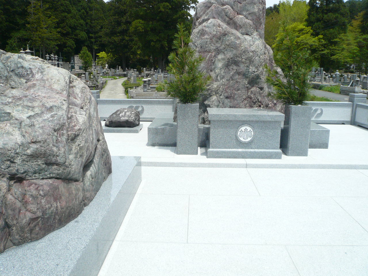 209.jpg