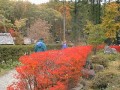 [04-19971027Takayama.jpg]